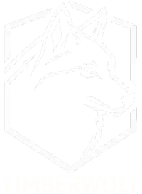 Identity Integration logo